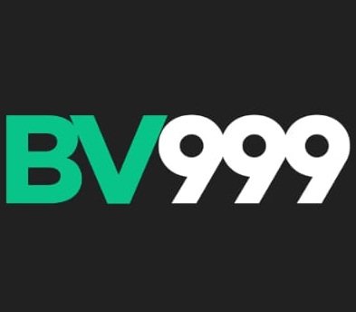 bv999 logo
